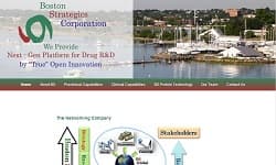 Boston Strategics early web proposal designs