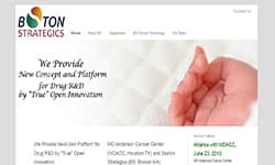 Boston Strategics WordPress website and supporting design concepts.