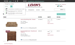 Shopping cart page at Levin Furniture with products and delivery preference messaging.