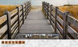 Grid of photography thumbnails on a clean portfolio page.