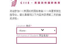 Mobile raffle game interface on a smartphone screen.